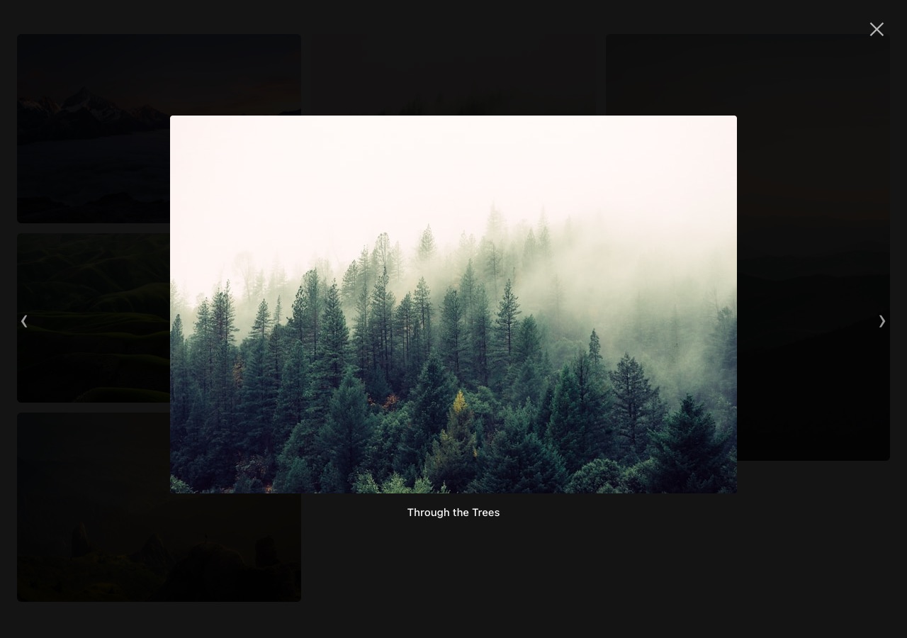 The same gallery with one image opened full-screen over the dimmed wall, showing its title and browse arrows